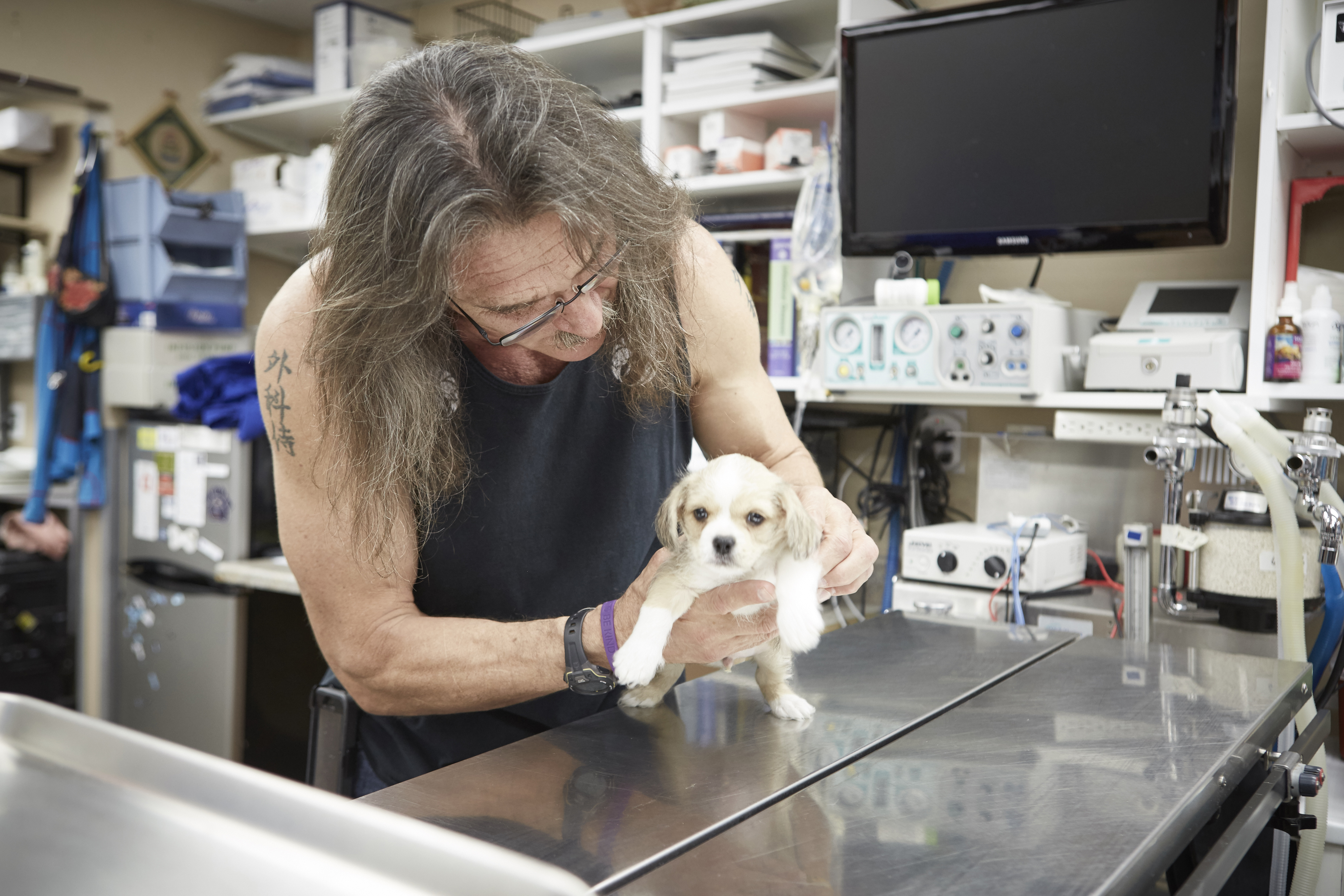 Dr. Jeff Rocky Mountain Vet Animal The Lede