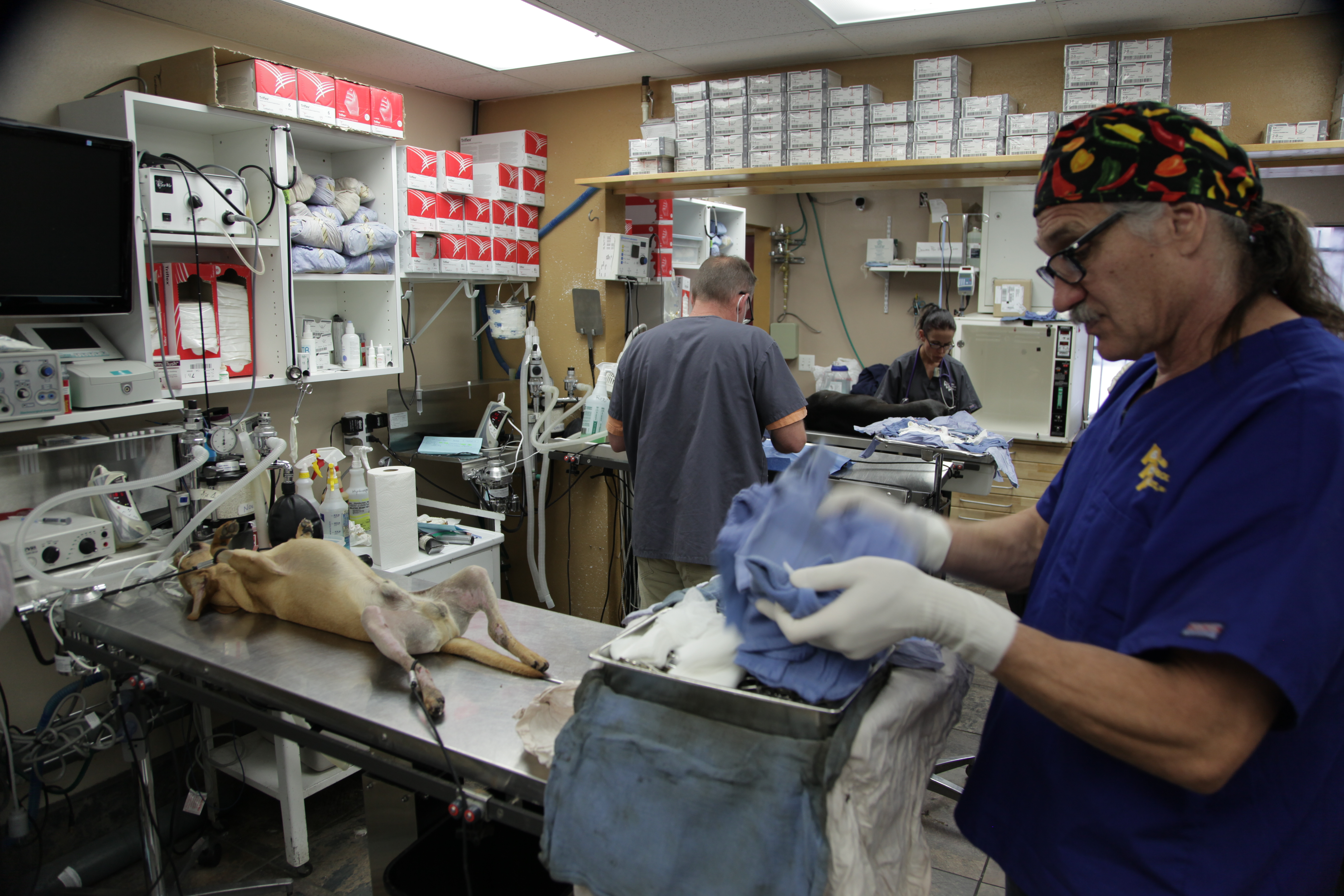 Dr. Jeff Rocky Mountain Vet Animal The Lede