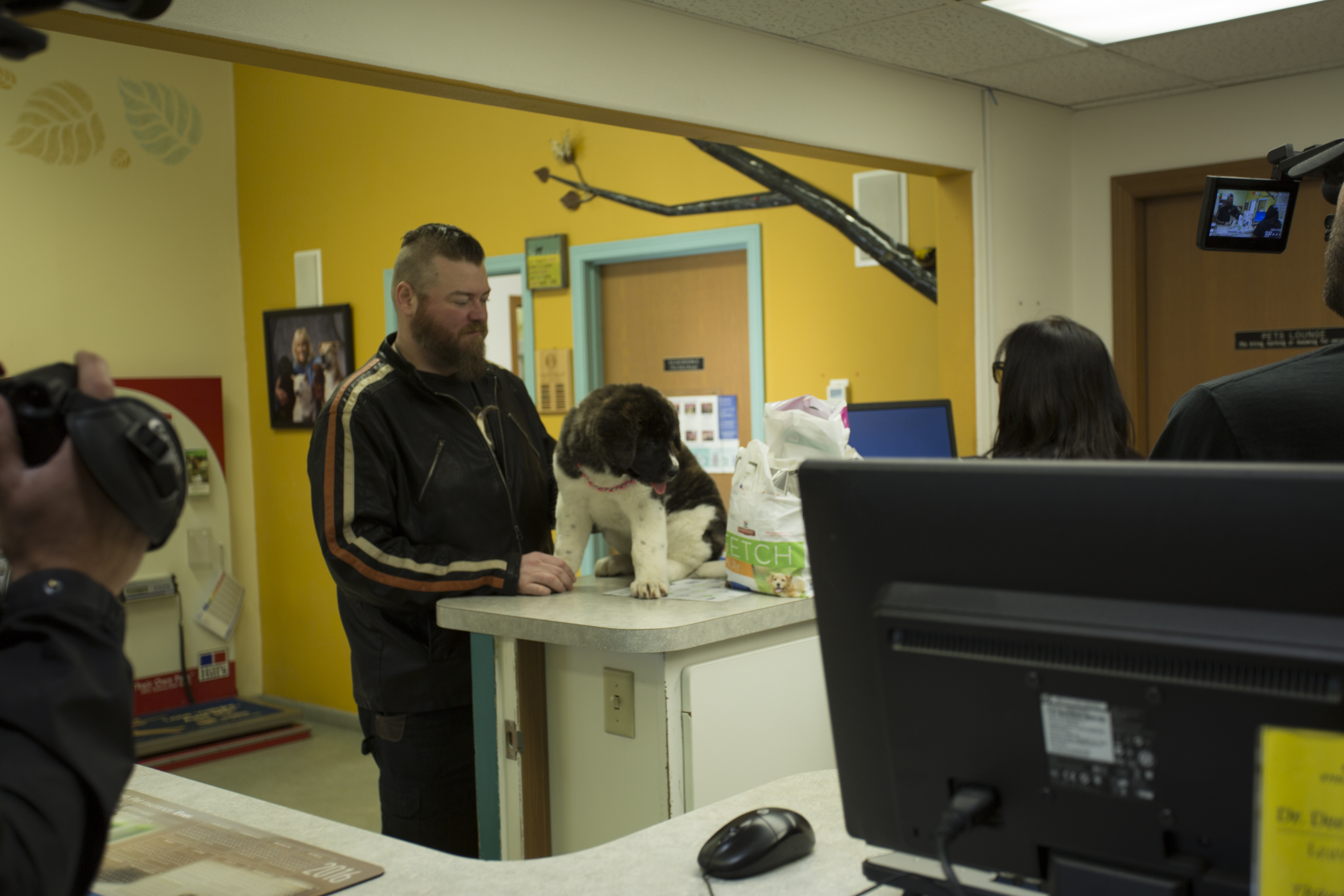 Dr. Dee Alaska Vet Animal The Lede