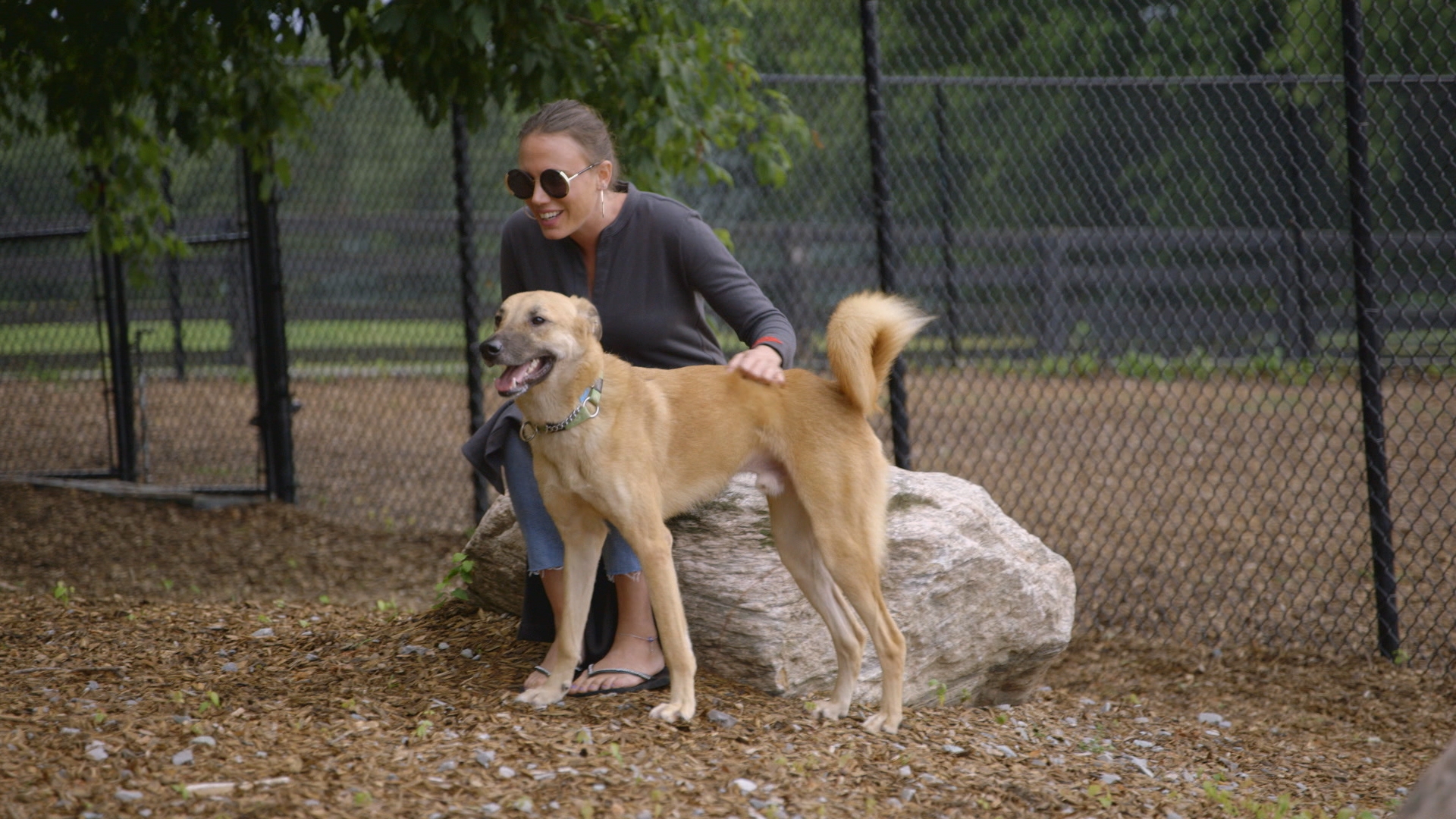 Dog Tales Rescue CTV Life Channel The Lede