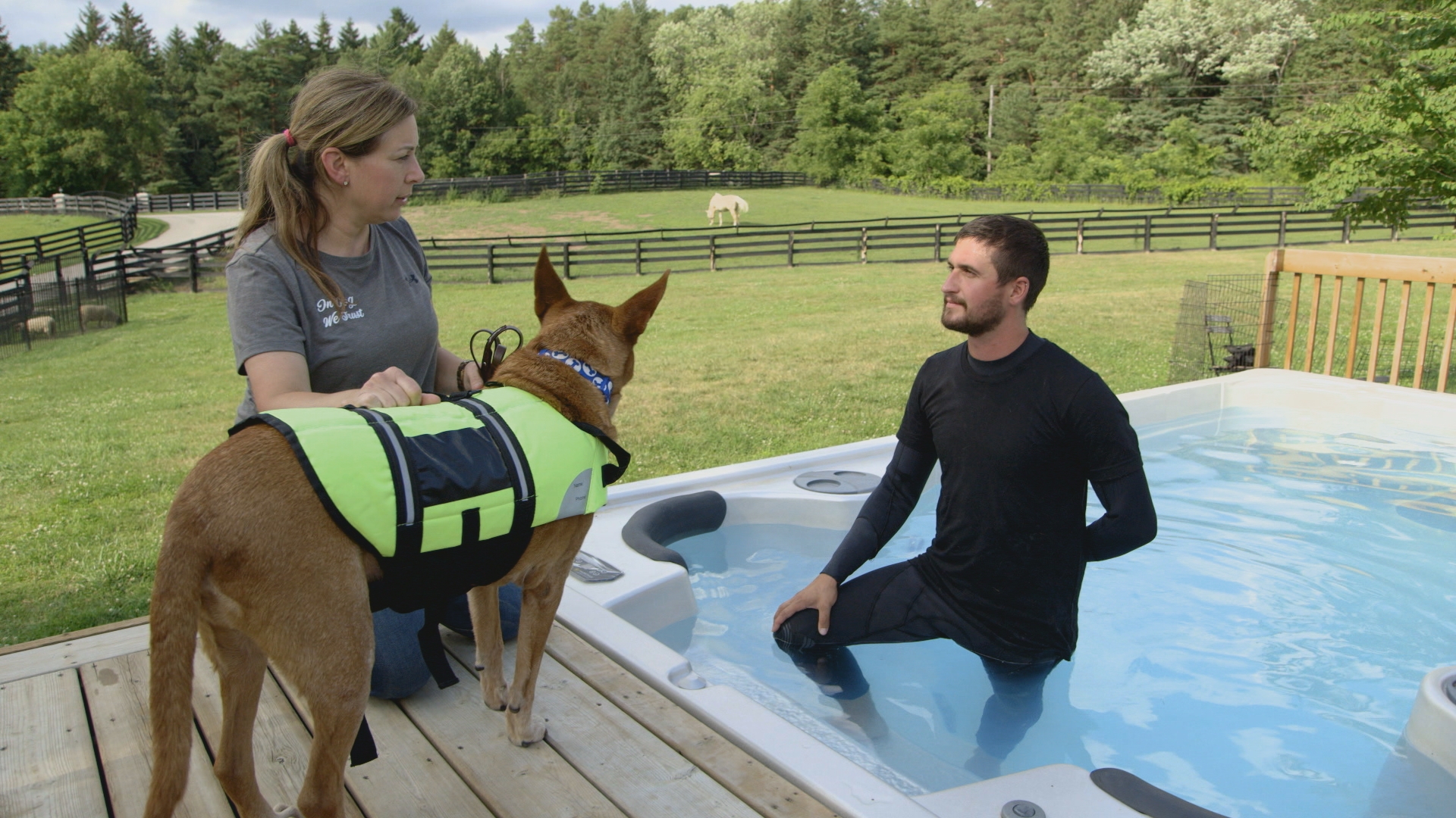 Dog Tales Rescue CTV Life Channel The Lede