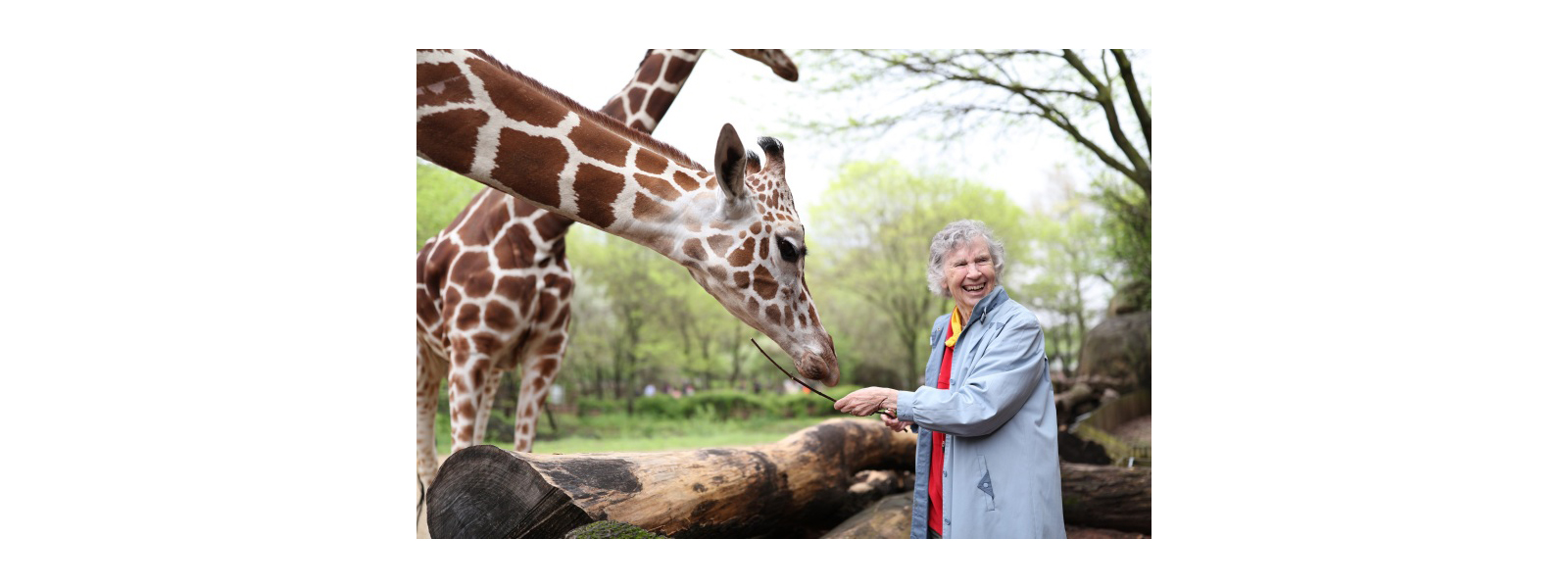 Crave Original Documentary THE WOMAN WHO LOVES GIRAFFES Premieres