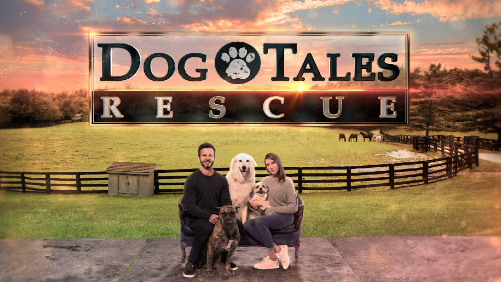 Dog Tales Rescue Bell Media
