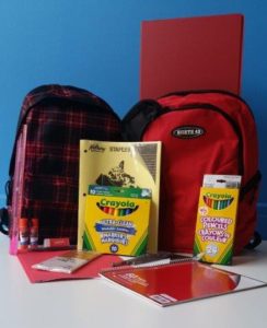 1010 Backpack