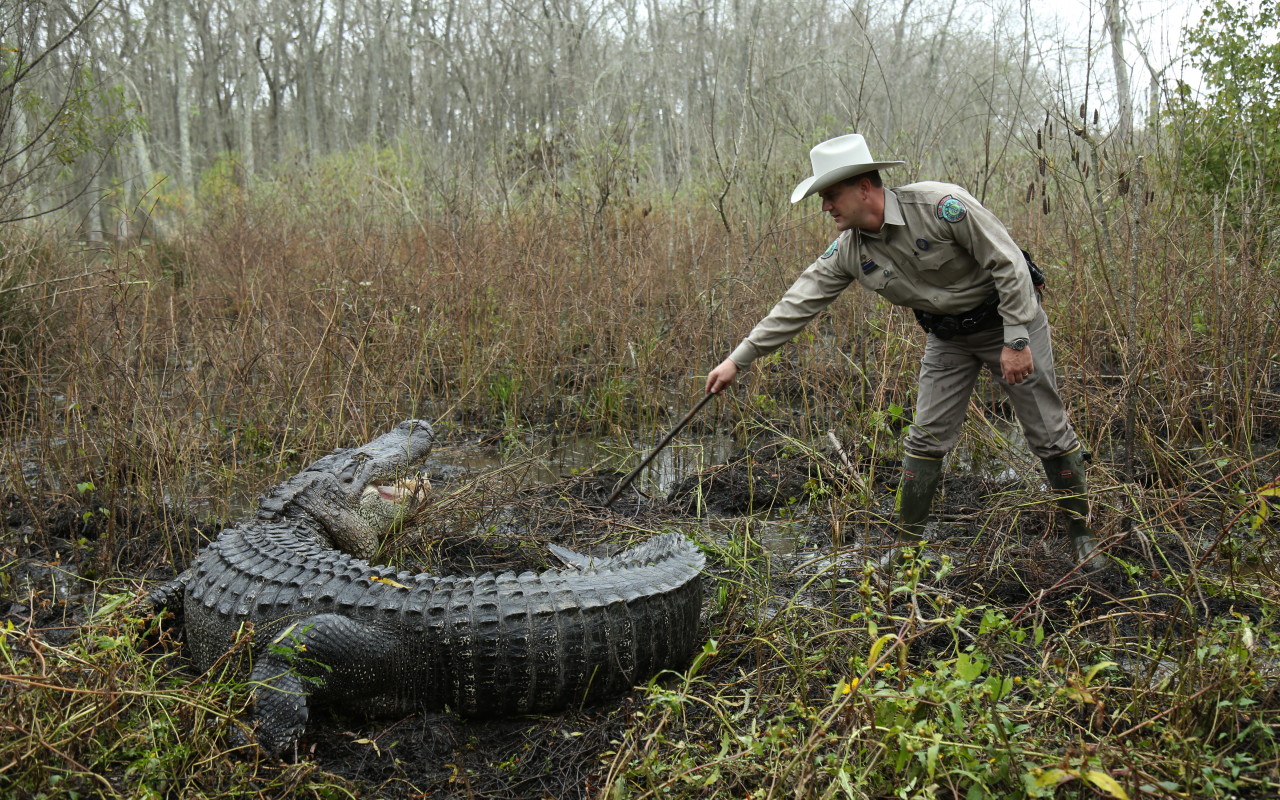 Lone Star Law – Bell Media